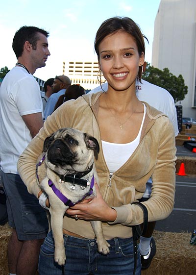 jessica alba with her dog how to choose Right pets for you and your family? some basic Information and benefits for pets