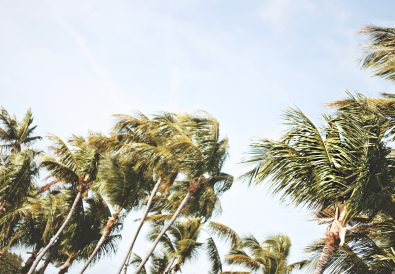 Why Vitamin D is the best way to survive the winter