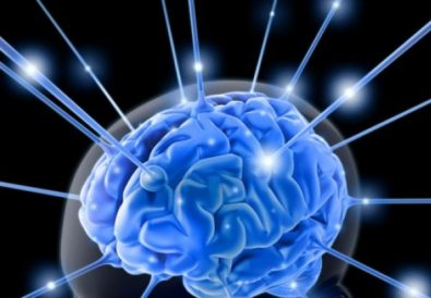 Provasil Review – Is This Supplement Really Boost Your Brain Power