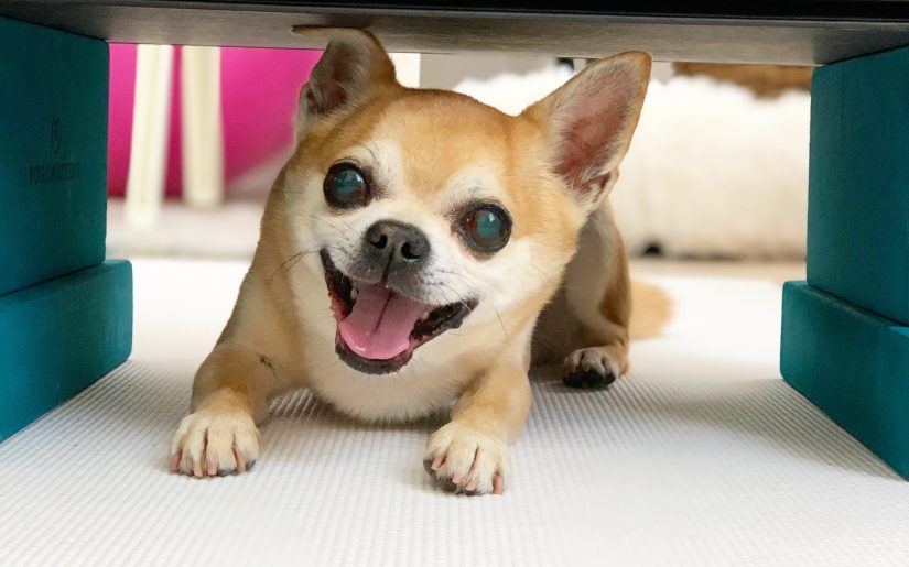 y32rgdqhoj5axerhafn4rgmmaex6