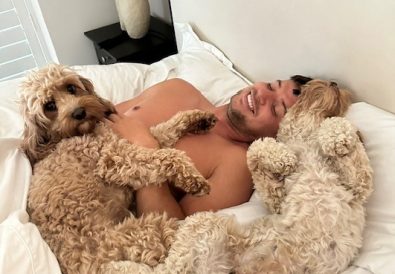 4. Rosedale Doodles Why Cockapoos Are The UK's Most Popular Choice