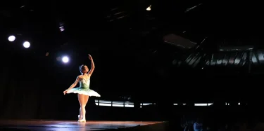 A graceful ballerina performing under spotlight in a theatre setting